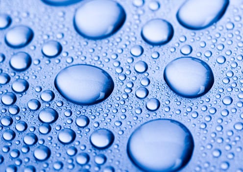 Water is the most important element for all lives on the Earth.