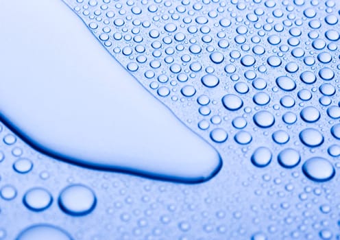 Water is the most important element for all lives on the Earth.