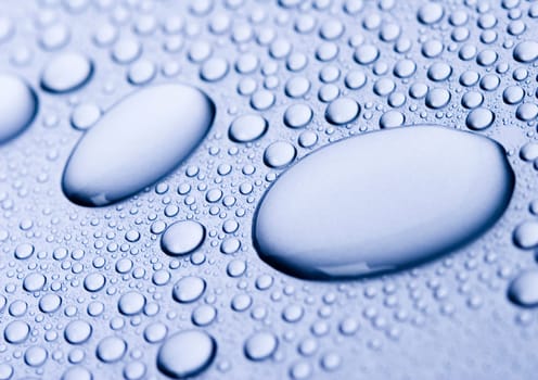 Water is the most important element for all lives on the Earth.