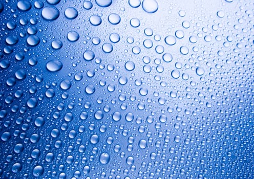 Water is the most important element for all lives on the Earth.
