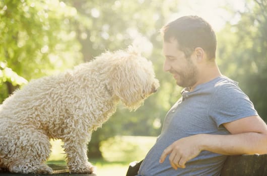 Man with his dog playing outdoor in the park. Young owner having fun with his pet in nature.