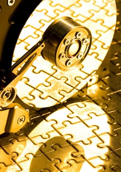 Hard disk is the brain of computer.