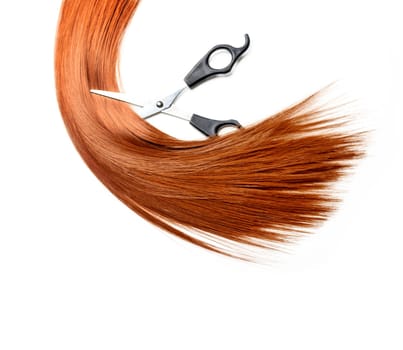 Healthy long red dyed hair lock extensions cutting with professional hairdresser scissors isolated over white background. Hair wig and hairdressing accessories with copyspace.  Hairstyle salon object.