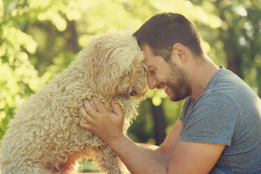 Man with his dog hugging and playing outdoor in the park. Young owner having fun with his pet in nature.