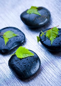 Zen is a freshness and the way of life.