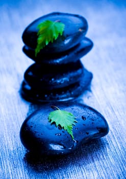 Zen is a freshness and the way of life.