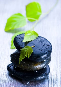 Zen is a freshness and the way of life.