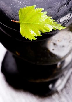 Zen is a freshness and the way of life.