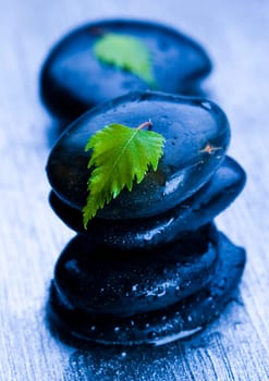Zen is a freshness and the way of life.