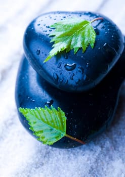 Zen is a freshness and the way of life.