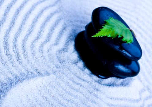 Zen is a freshness and the way of life.