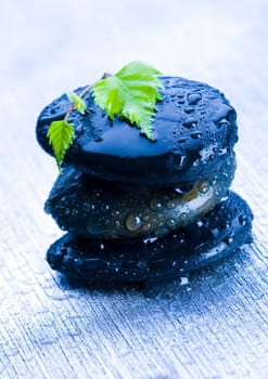 Zen is a freshness and the way of life.