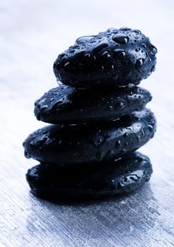 Zen is a freshness and the way of life.