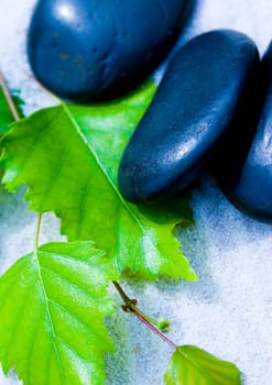 Zen is a freshness and the way of life.