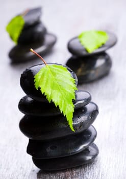 Zen is a freshness and the way of life.