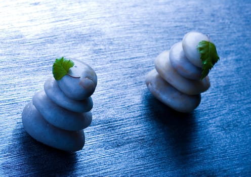Zen is a freshness and the way of life.