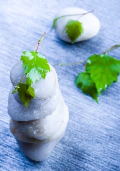 Zen is a freshness and the way of life.