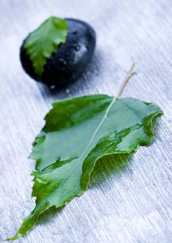 Zen is a freshness and the way of life.