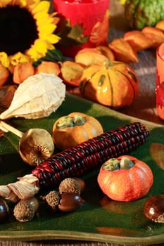 Table decoration for Thanksgiving or autumn