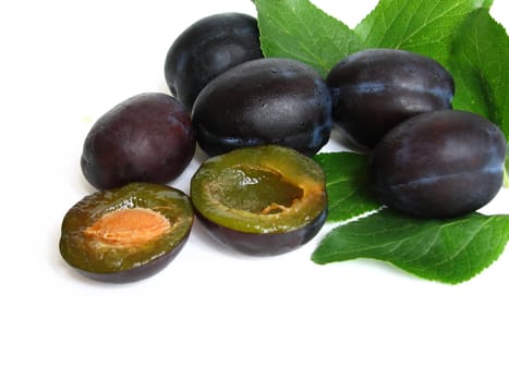 plum