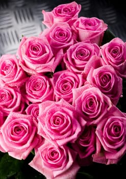 Rose (Rosa), a kind of flower which belongs to the rose-like family, includes over 200 species (according to some researchers up to a few thousands) bushes, which can be found in temperate and warm areas of the northern hemisphere.