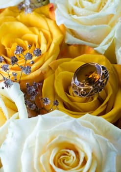 Rose (Rosa), a kind of flower which belongs to the rose-like family, includes over 200 species (according to some researchers up to a few thousands) bushes, which can be found in temperate and warm areas of the northern hemisphere.