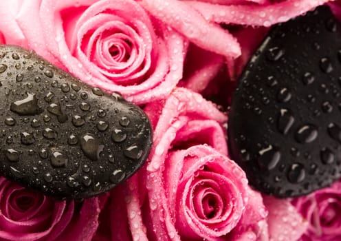 Rose (Rosa), a kind of flower which belongs to the rose-like family, includes over 200 species (according to some researchers up to a few thousands) bushes, which can be found in temperate and warm areas of the northern hemisphere.