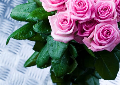 Rose (Rosa), a kind of flower which belongs to the rose-like family, includes over 200 species (according to some researchers up to a few thousands) bushes, which can be found in temperate and warm areas of the northern hemisphere.