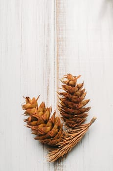 Christmas holidays  and new year poster design with pine cone on white wooden background with copyspace.