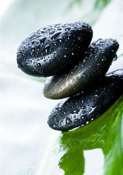 Zen is a freshness and the way of life.
