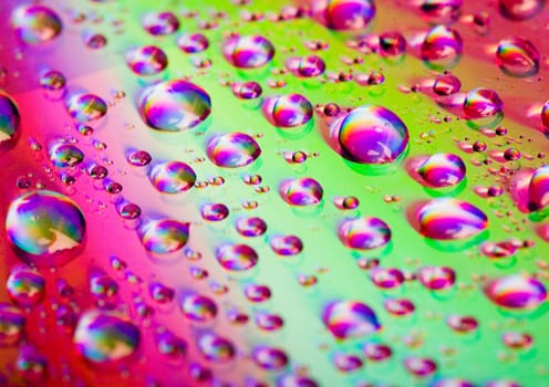 Water is the most important element for all lives on the Earth.
