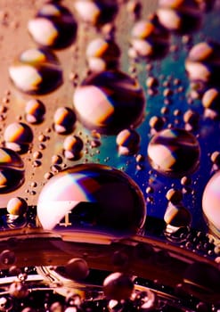 Water is the most important element for all lives on the Earth.