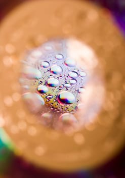 Water is the most important element for all lives on the Earth.