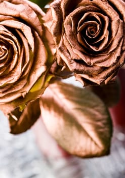 Rose (Rosa), a kind of flower which belongs to the rose-like family, includes over 200 species (according to some researchers up to a few thousands) bushes, which can be found in temperate and warm areas of the northern hemisphere.