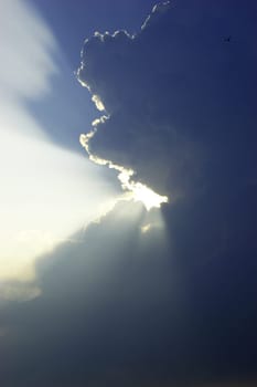 Ray of Light