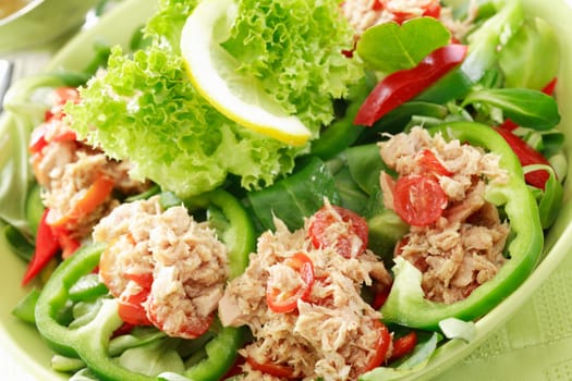 Healthy food, salad with tunny and vegetable