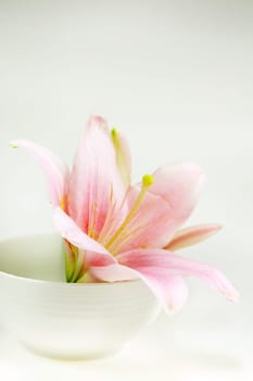 Harmony - concept of harmony, balance, meditation