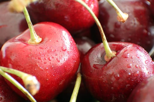 Closeup of cherries
