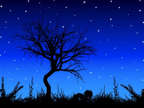 Silhouette of a tree against a starry sky
