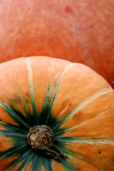 Pumpkin composition. Fall and Halloween concept.