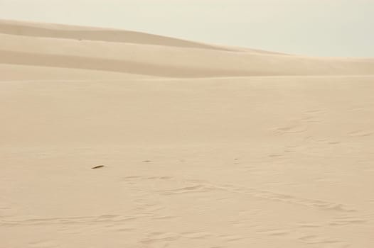Dune
