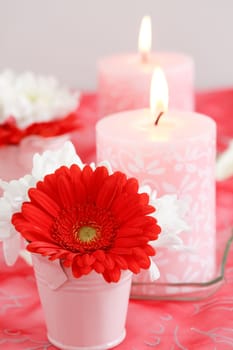 Romantic still life for Valentine, wedding or birthday