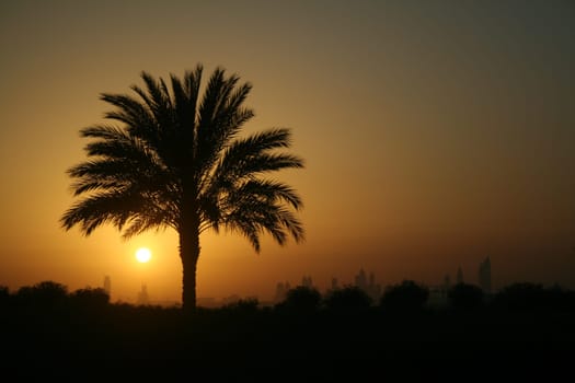 sunset in dubai with its skyline