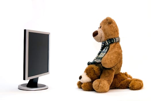 Teddy Bears are surfing on the Internet