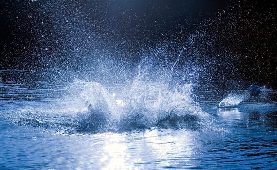 Abstract background of water splashing