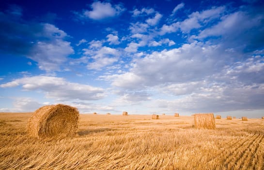 summer hay bale in a ungarish field, and beauty landscape