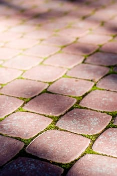 Bricks