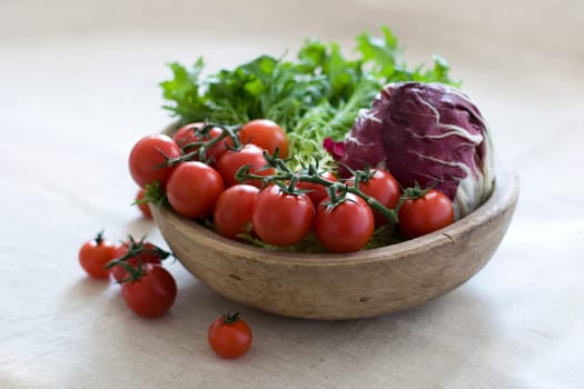 Cherry tomatoes and salad
