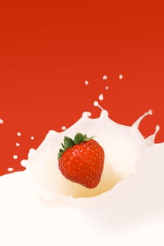 a fresh strawberry falling in milk