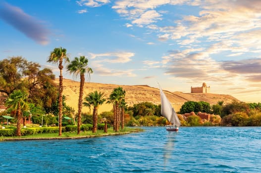 A Seagull flies by the traditional African village by the Nile near Aswan, Egypt.